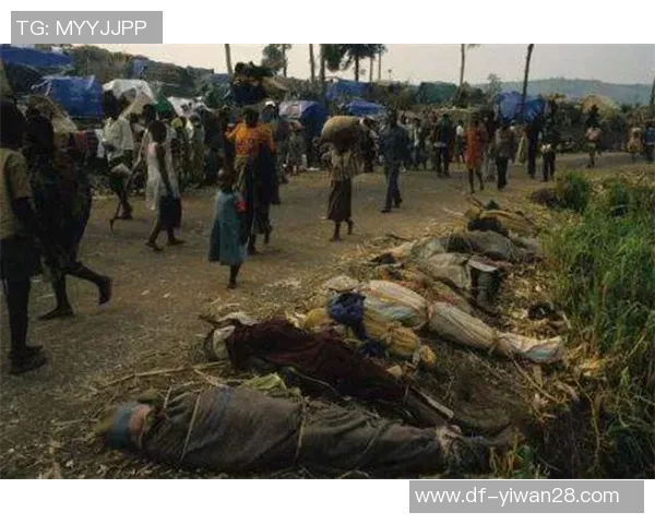 肯尼亚与赤道几内亚激战正酣比赛结果引发热议与期待